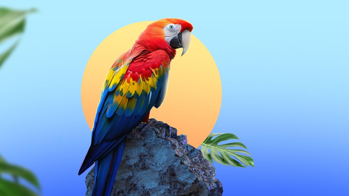 Parrot Care: A Comprehensive Guide to Joy and Care
