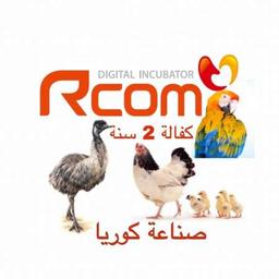Rcom 00965_90003986 kuwait 